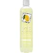 TalkingRain Sparkling ICE Lemonade, 17-Ounce Bottles (Pack of 12)