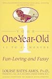 Your One-Year-Old: The Fun-Loving, Fussy 12-To 24-Month-Old