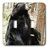 Wild animals - Black Bear - Light Switch Covers - double toggle switch