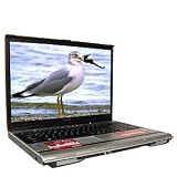 Toshiba Centrino 1.73GHz 512MB 100GB DVD±RW 17" WXGA XP
