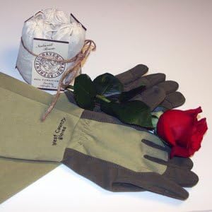West County Rose Gloves & Alfalfa Tea
