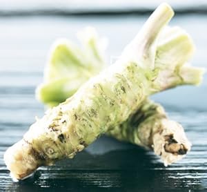 信州・安曇野産 生ワサビ 3本セット