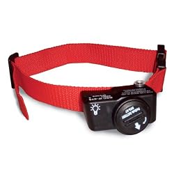 PetSafe Extra Wireless Fence Receiver,  PIF-275-19