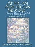 African American Mosaic: A Documentary History from the Slave Trade to the Twenty-First Century, Volume One: To 1877 (Documentary History from the Slave Trade to the Twenty-First Century)
