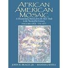 Click here to buy  African American Mosaic: A Documentary History from the Slave Trade to the Twenty-First Century, Volume One: To 1877... by John H. Bracey and Manisha Sinha.