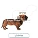 Miniature Dachshund Doxie Birthday Card Paper House Production