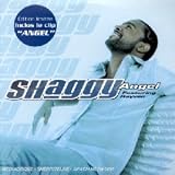 Angel - Shaggy