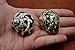 2 Pcs Black Pica Cyprea & Sarmaticus Turbo Sea Shell Hermit Crab 1 1/2