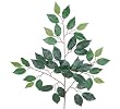 TWO Dozen (24 pieces) of 24" Capensia Ficus Ficus Spray with a total of 1008 leaves _Red Back
