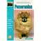 Favorite Dog Books