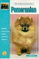Guide to Owning a Pomeranian (Re Dog)