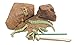 Dig a Dinosaur Excavation DNA Kit AR Wonders T-Rex Stegosaurus and Triceratops Dinosaurs - 3 Pack w Universal Truths Dino Bone!