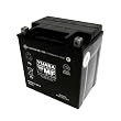 Yuasa YIX30L-BS Maintenance Free VRLA Battery for 1997-2010 Harley Davidson Touring Models