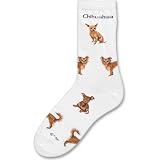 Lg Print Chihuahua Poses Socks (Medium)