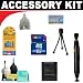 8GB Deluxe DB ROTH Accessory KitFor The Sanyo Xacti VPC-CG9, HD1010 Camcorders