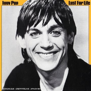 CD-Charts  Music : Lust for Life