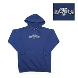 Florida Gators NCAA Youth JV Hooded Sweatshirt (Dark Royal Blue) (Small)
