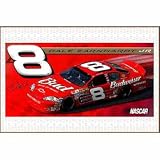 Nascar Dale Earnhardt Jr. Beach Towel (Case of 24)