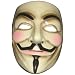V for Vendetta mask.