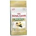 Royal Canin Rc Cat Adult Breed Maine Coon 31 +15 Months 4kg