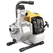 Outdoor Living : 1in. Robin Water Pump
