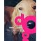 Eleven Inspirational Dog Books