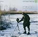 Winter am Bodensee