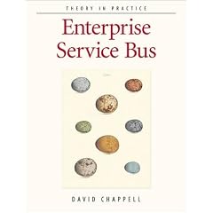 Enterprise Service Bus. Theory in Practice. (Taschenbuch)