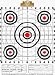 Paper Scoring Targets (Per 24) Paper Scoring Targets 24 Count