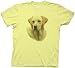 Yellow Lab 'Faithful Friend' T-Shirt from The Hangover 2 , Boys Large