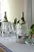 Kitchen & Housewares : Oenophilia Ice Chiller for Wine