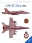 F/A-18 Hornet (Combat Aircraft Series, 2)