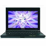 Toshiba NB505-N508OR 10.1-Inch Netbook (Orange)
