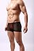 DomiGe Sheer Mesh Boxer Trunks, Mens, Black (5006)