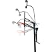 Mammoth Basketball Hoop Light