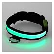 Adjustable LED Illumination Pet/Dog Collar, Medium, Green Adjustable LED Illumination Pet/Dog Collar, Medium, Green
