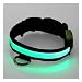 Adjustable LED Illumination Pet/Dog Collar, Large, Green