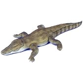 動物ソフト人形シリーズ15 ワニ