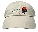 Ivory-billed Woodpecker Hat