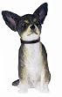 Black and White Chihuahua Figurine