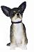 Black and White Chihuahua Figurine