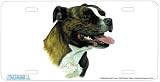 - Staffordshire Bull Terrier - Art Print - License Plate Decorative Tag By Robert J. May From Airstrike