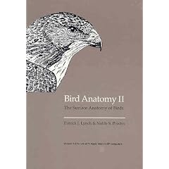 Bird Anatomy II: The Surface Anatomy of Birds