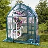 Clear Planthouse- 5’