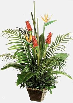 54" Tropical Protea & Bird of Paradise Arrangement
