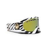 Dragon DXS Zebra Goggle - Womens - Zebra/Gold-Ionized