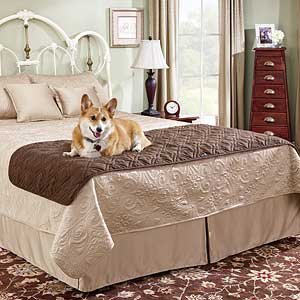 Sure Fit Quilted Suede Bed Protector - Chocolate (King/ Cal King) Sure Fit