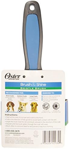 Clean & Healthy Bristle Brush