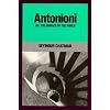 Antonioni, or, The Surface of the World