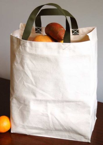 Cotton Canvas Grocery Bags - (2) Regular Size - USA Made
